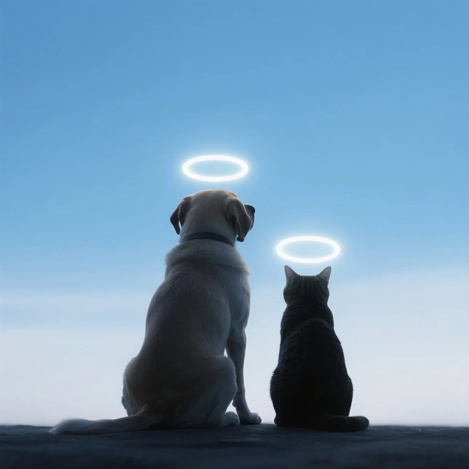 Eternal Remembrance